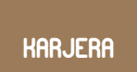 Karjera