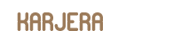 Karjera